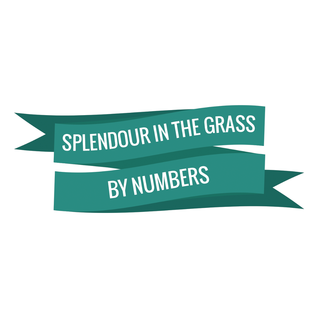 Splendour In The Grass By Numbers