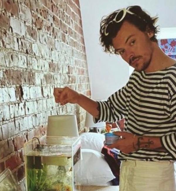 Harry Styles Fed A Fan's Fishes After His Car Broke Down And Imagine If This Was You