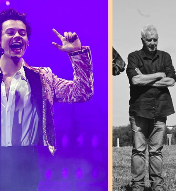 Harry Styles Played Daryl Braithwaite's 'Horses' At An Aussie Show & Demanded Everyone Sing