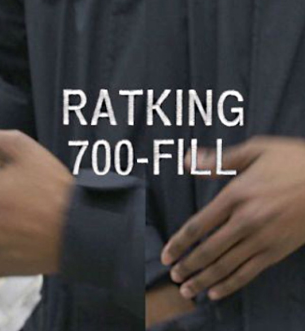 Review: RATKING’s 700-FILL